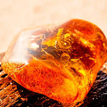 Load image into Gallery viewer, Egyptian Amber Reed Diffuser