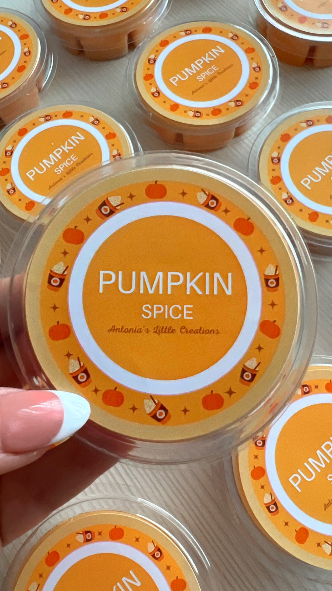 Pumpkin Spice Segment Pot