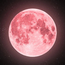 Load image into Gallery viewer, Luna
